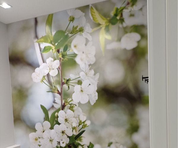 Adesivo interno sala 