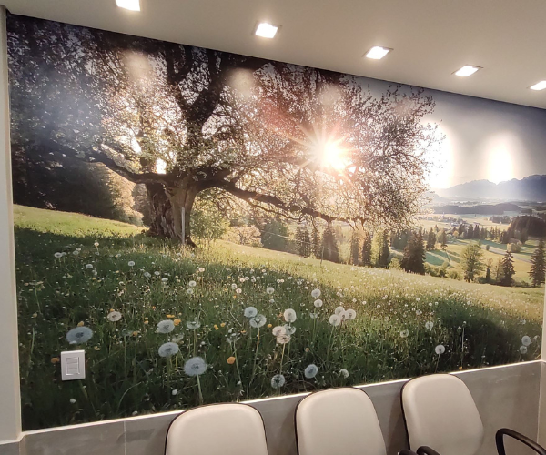 Adesivo interno sala 